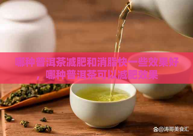 哪种普洱茶减肥和消脂快一些效果好，哪种普洱茶可以减肥效果