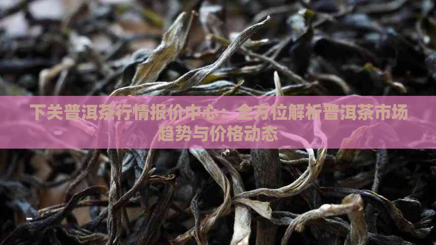 下关普洱茶行情报价中心：全方位解析普洱茶市场趋势与价格动态