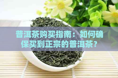 普洱茶购买指南：如何确保买到正宗的普洱茶？