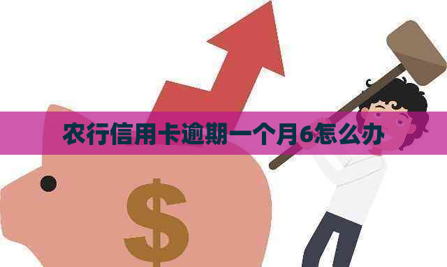 农行信用卡逾期一个月6怎么办