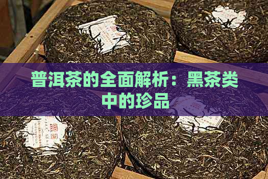 普洱茶的全面解析：黑茶类中的珍品