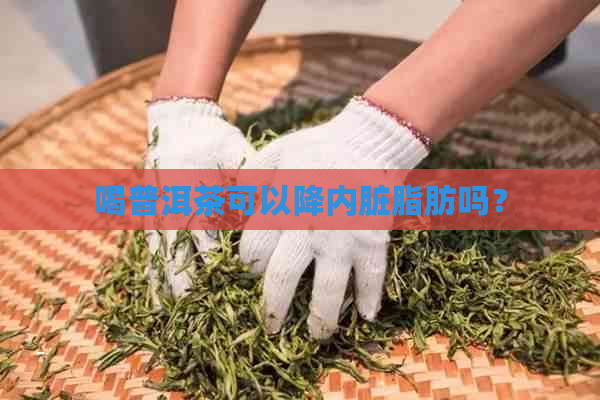 喝普洱茶可以降内脏脂肪吗？