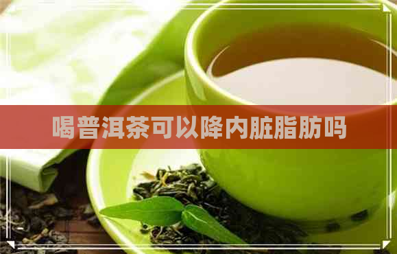 喝普洱茶可以降内脏脂肪吗