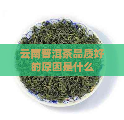 云南普洱茶品质好的原因是什么