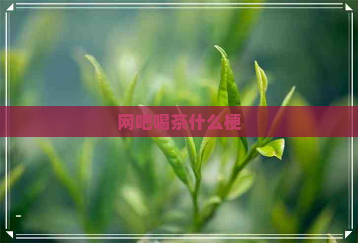 网吧喝茶什么梗