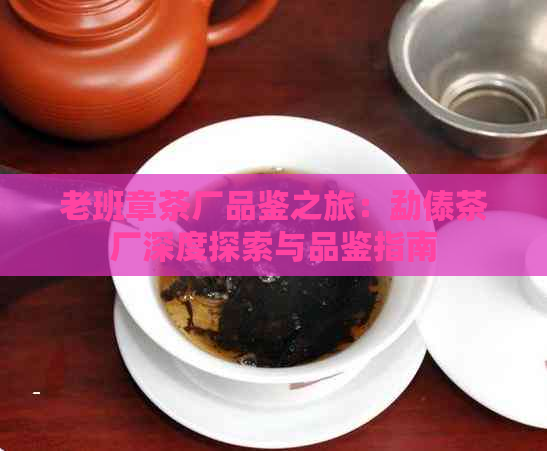 老班章茶厂品鉴之旅：勐傣茶厂深度探索与品鉴指南