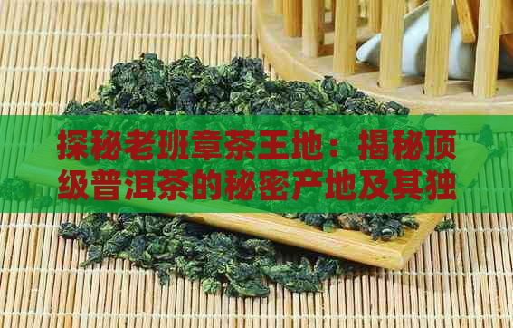 探秘老班章茶王地：揭秘顶级普洱茶的秘密产地及其独特魅力