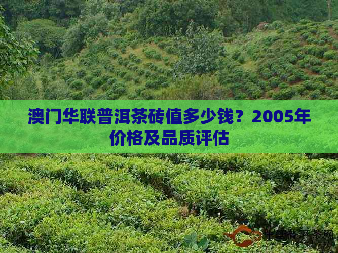 华联普洱茶砖值多少钱？2005年价格及品质评估