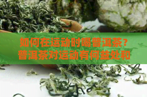 如何在运动时喝普洱茶？普洱茶对运动有何益处和注意事项？