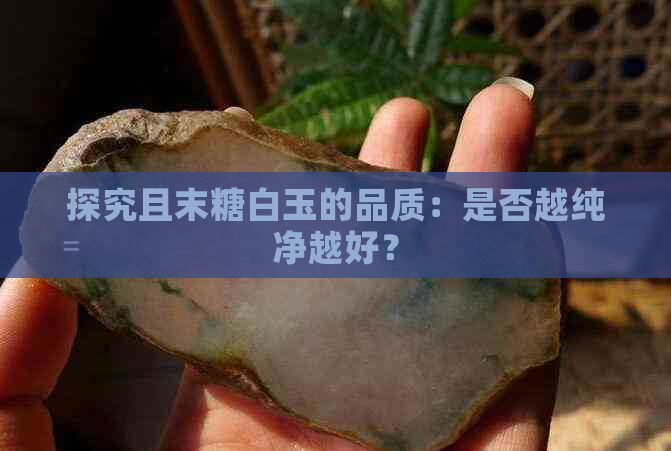 探究且末糖白玉的品质：是否越纯净越好？