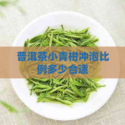 普洱茶小青柑冲泡比例多少合适