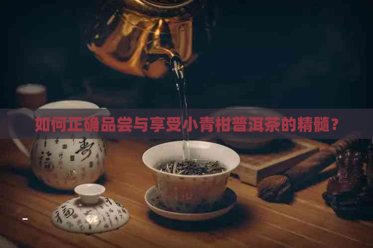 如何正确品尝与享受小青柑普洱茶的精髓？