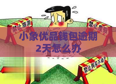 小象有品钱包逾期2天怎么办