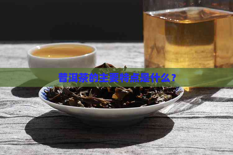 普洱茶的主要特点是什么？