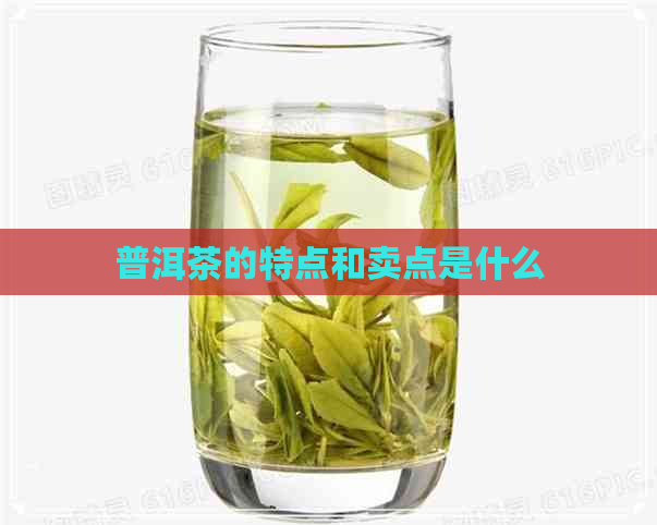 普洱茶的特点和卖点是什么