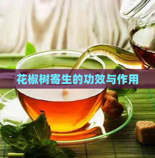 花椒树寄生的功效与作用