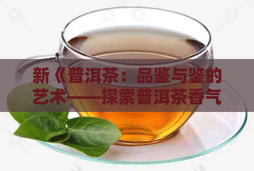 新《普洱茶：品鉴与鉴的艺术——探索普洱茶香气之谜及其饮用方式》