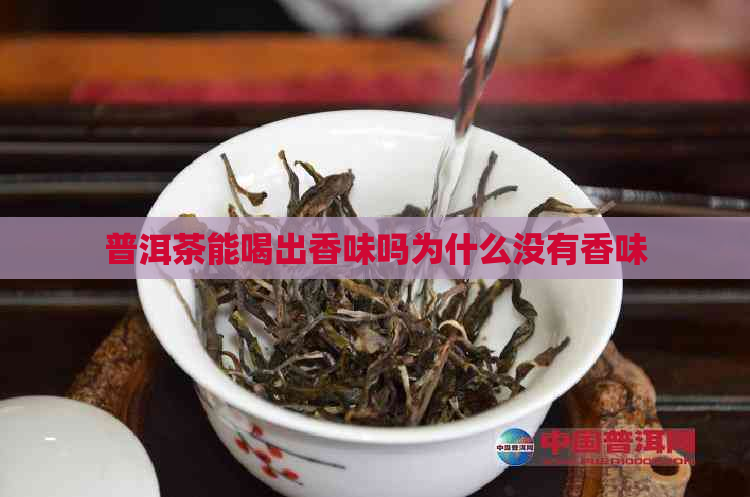 普洱茶能喝出香味吗为什么没有香味