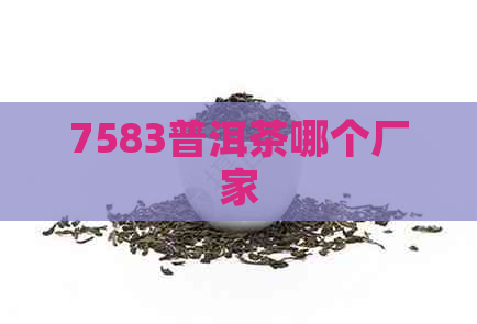 7583普洱茶哪个厂家