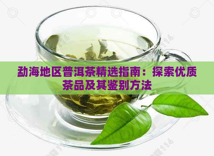 勐海地区普洱茶精选指南：探索优质茶品及其鉴别方法