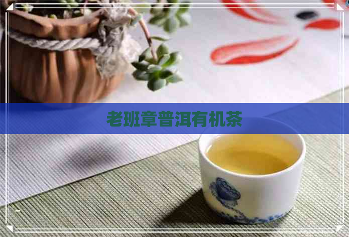 老班章普洱有机茶