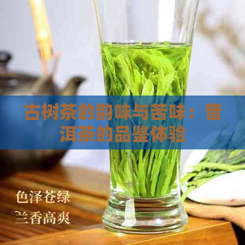 古树茶的韵味与苦味：普洱茶的品鉴体验