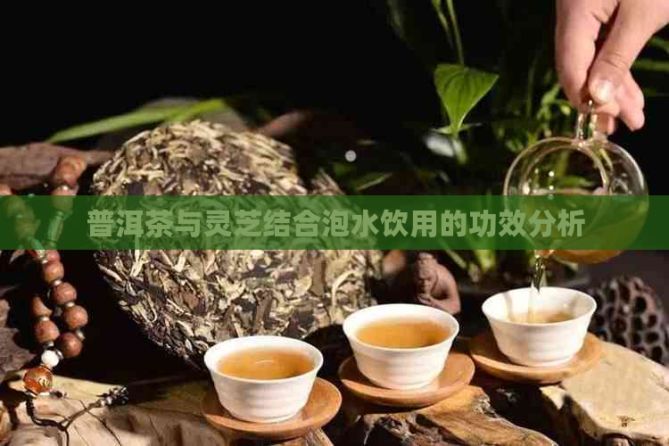 普洱茶与灵芝结合泡水饮用的功效分析