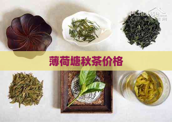 薄荷塘秋茶价格