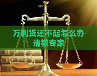 万利贷还不起怎么办请教专家