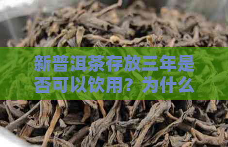 新普洱茶存放三年是否可以饮用？为什么存放时间会影响其品质？