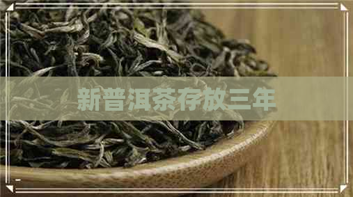 新普洱茶存放三年