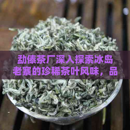 勐傣茶厂深入探索冰岛老寨的珍稀茶叶风味，品鉴之旅即将启航。