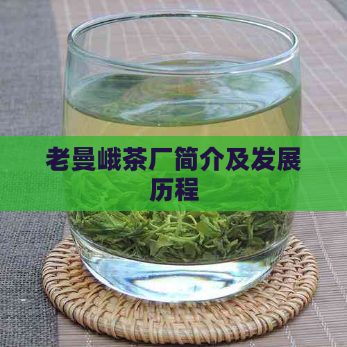 老曼峨茶厂简介及发展历程