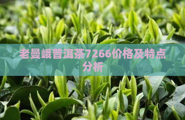 老曼峨普洱茶7266价格及特点分析