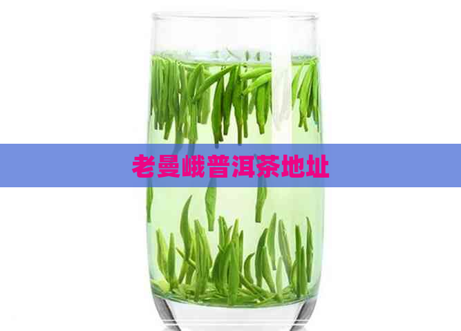 老曼峨普洱茶地址