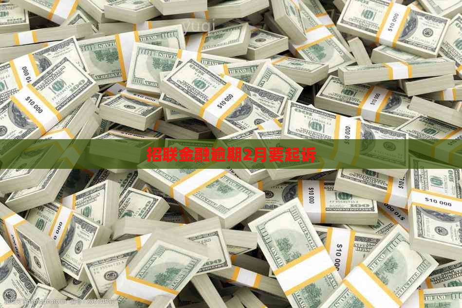 招联金融逾期2月要起诉