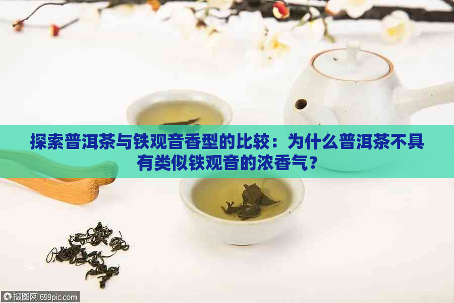 探索普洱茶与铁观音香型的比较：为什么普洱茶不具有类似铁观音的浓香气？