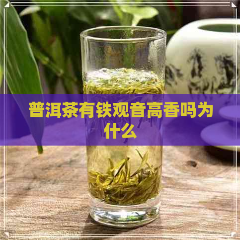 普洱茶有铁观音高香吗为什么