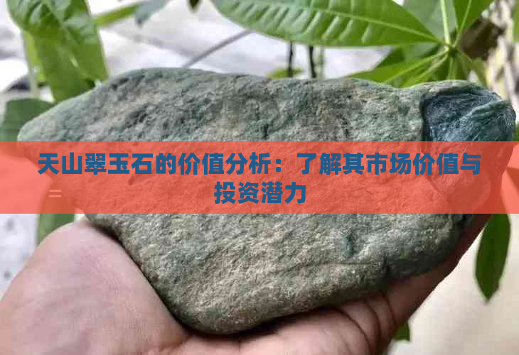 天山翠玉石的价值分析：了解其市场价值与投资潜力