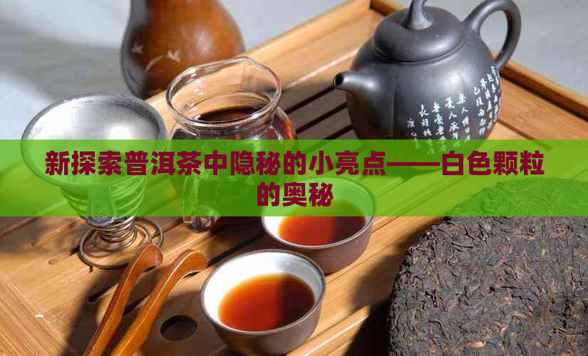 新探索普洱茶中隐秘的小亮点——白色颗粒的奥秘