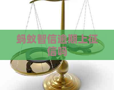 蚂蚁智信逾期上吗