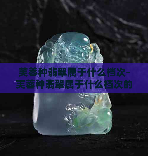 芙蓉种翡翠属于什么档次-芙蓉种翡翠属于什么档次的翡翠