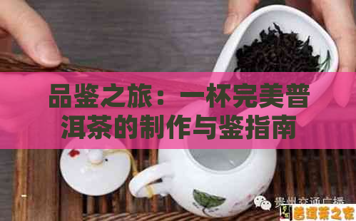 品鉴之旅：一杯完美普洱茶的制作与鉴指南