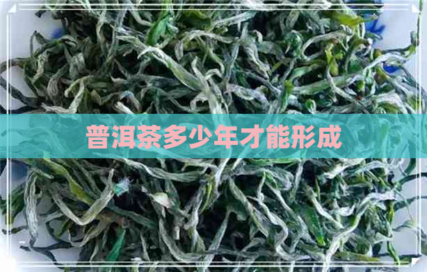 普洱茶多少年才能形成