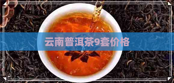 云南普洱茶9套价格