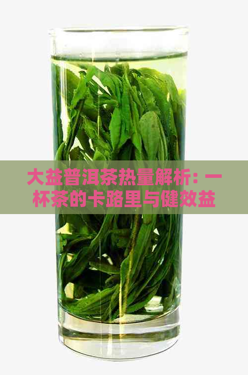 大益普洱茶热量解析: 一杯茶的卡路里与健效益评估