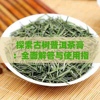 探索古树普洱茶膏：全面解答与使用指南