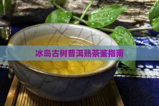 冰岛古树普洱熟茶鉴指南