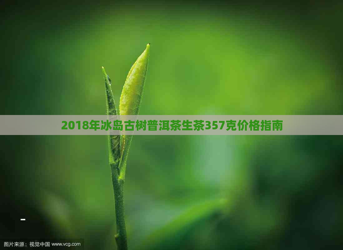 2018年冰岛古树普洱茶生茶357克价格指南