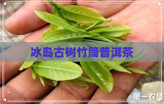 冰岛古树竹筒普洱茶